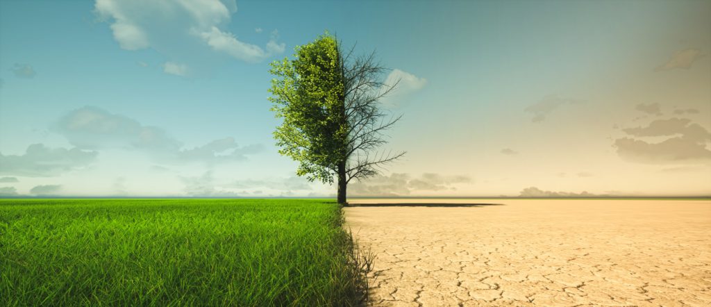 Changements climatiques - Réveil d'algérie
