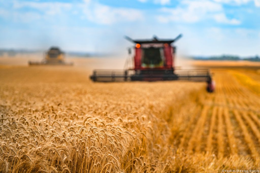 Quelle politique agricole pour assurer l’autosuffisance alimentaire ? - Réveil d'algérie