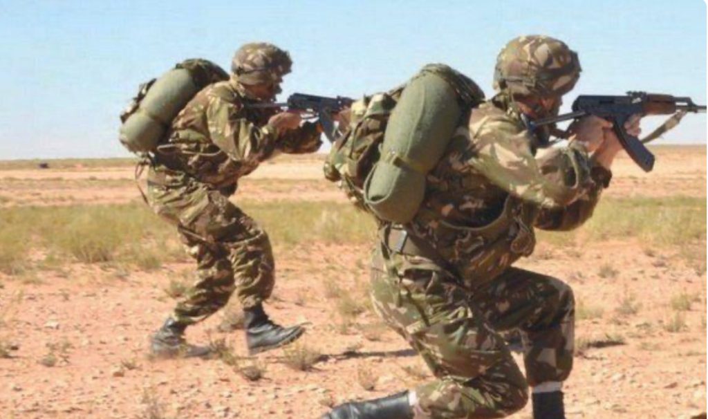 L’ANP intensifie ses opérations antiterroristes et anticriminalité - Réveil d'algérie