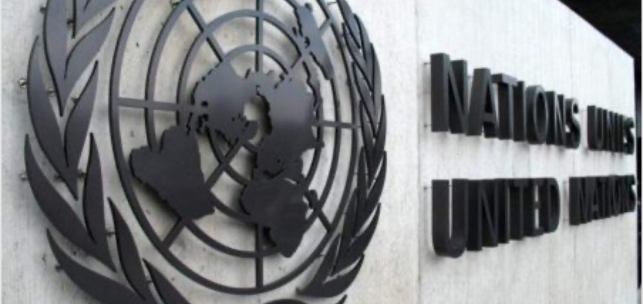 L’ONU organise un atelier sur la fonction publique internationale à Alger - Réveil d'algérie