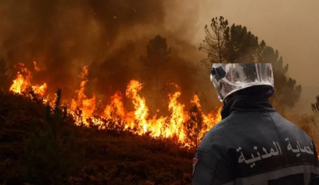 Feux de foret: Dix incendies recensés dans sept wilayas ce mardi - Réveil d'algérie