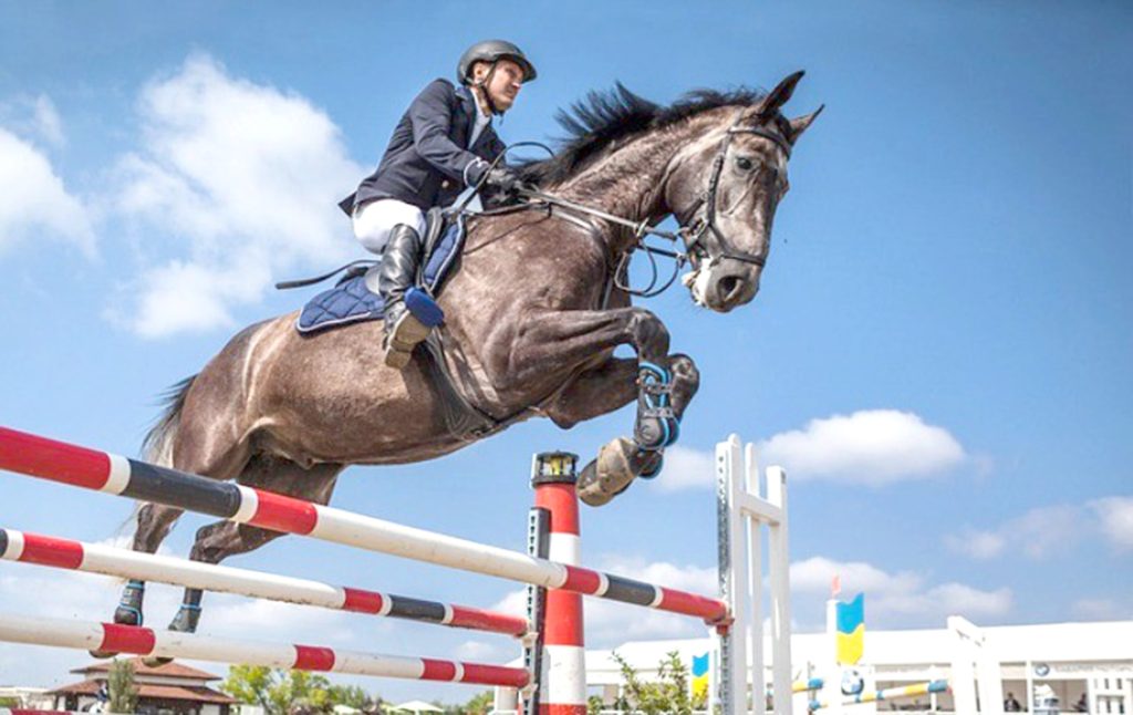 Équitation : lancement du concours national d’endurance pour poneys ce samedi à Alger - Réveil d'algérie