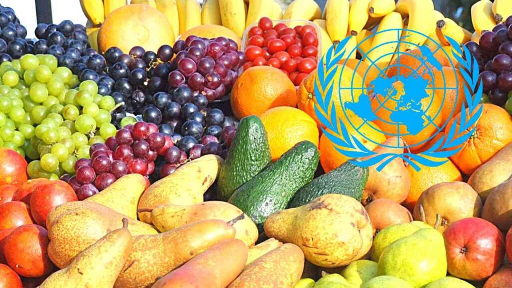 Sécurité alimentaire : l’Algérie confirme ses progrès au sommet de l’ONU - Réveil d'algérie