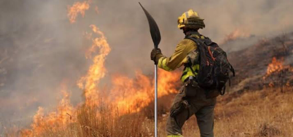 Incendies en Espagne : 373.000 hectares brûlés - Réveil d'algérie