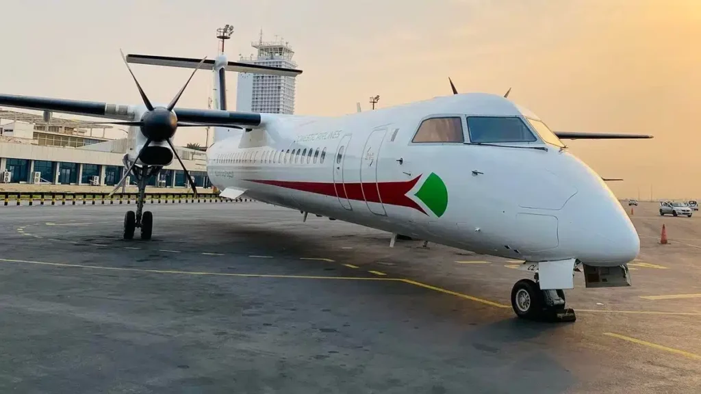 Domestic Airlines lance son premier vol régulier vers cette destination stratégique - Réveil d'algérie