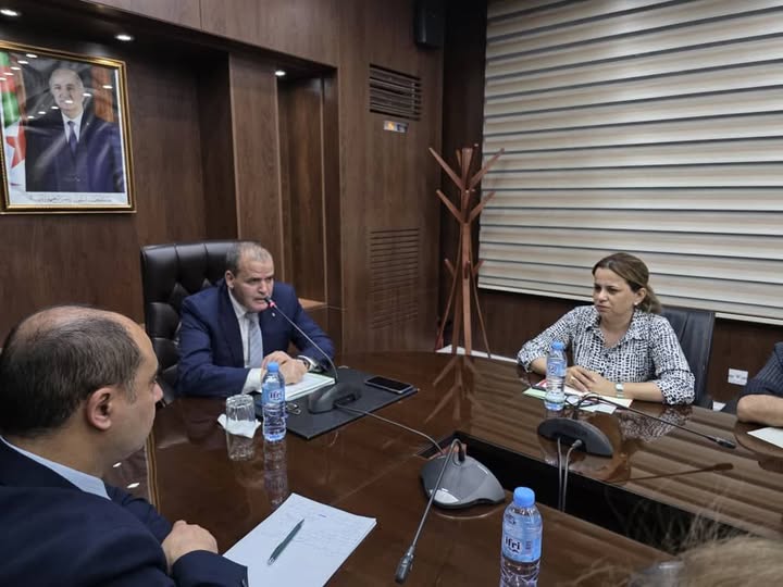 Commerce extérieur : nouvelles mesures pour réduire la dépendance aux hydrocarbures - Réveil d'algérie